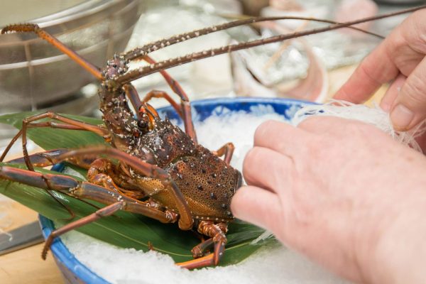 【伊勢海老】ここでしか味わえない美味極まる料理の数々をお愉しみください。